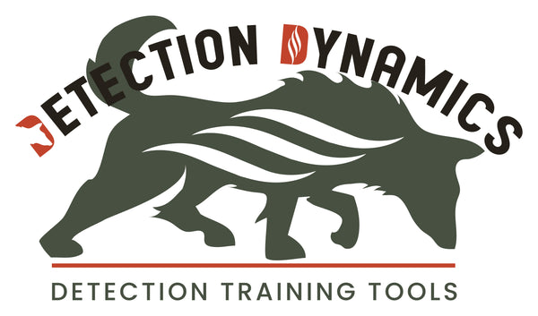 Detection Dynamics